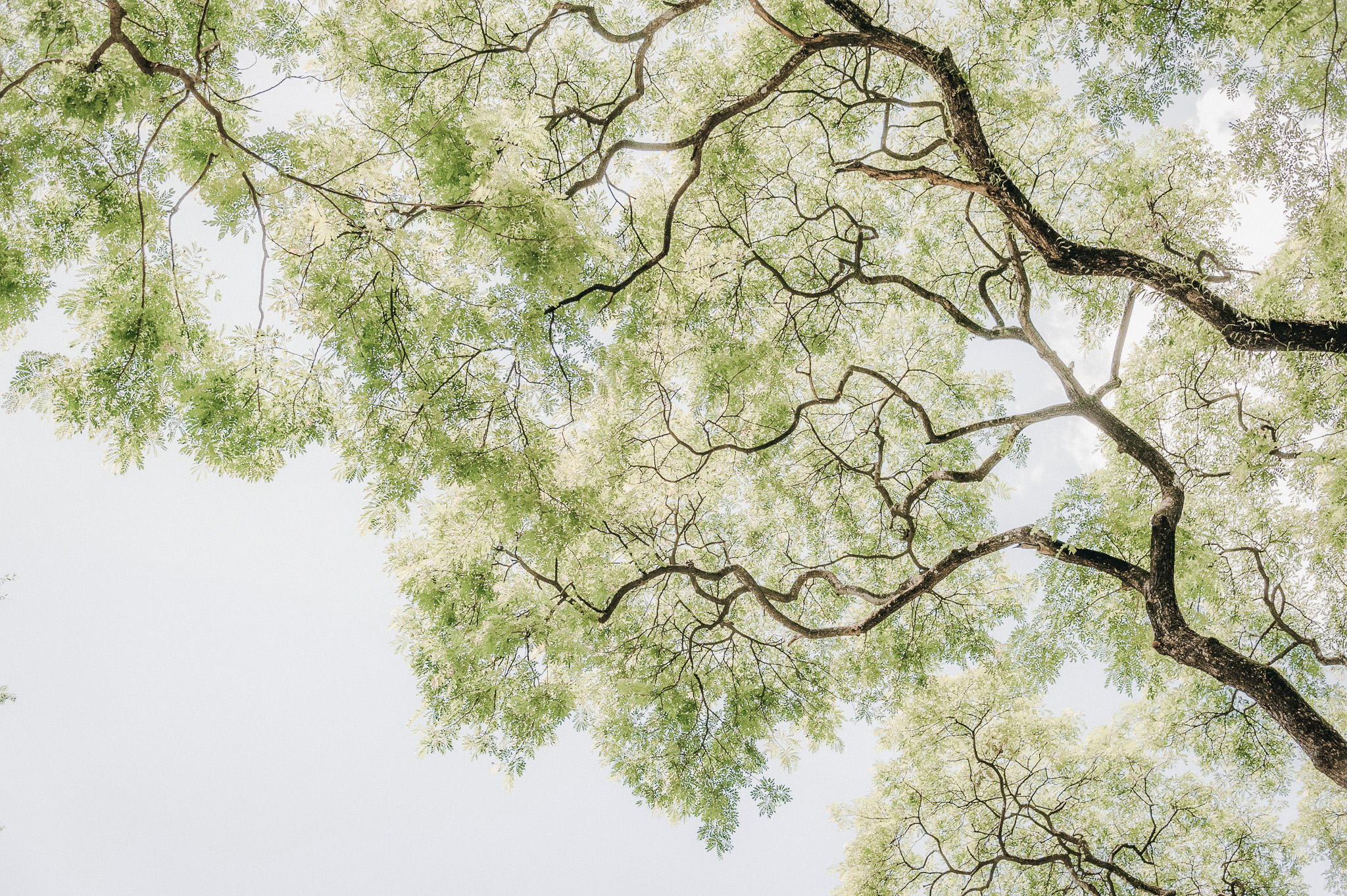 Medo de fazer cocô – 17 Comportamentos da Constipação Infantil 