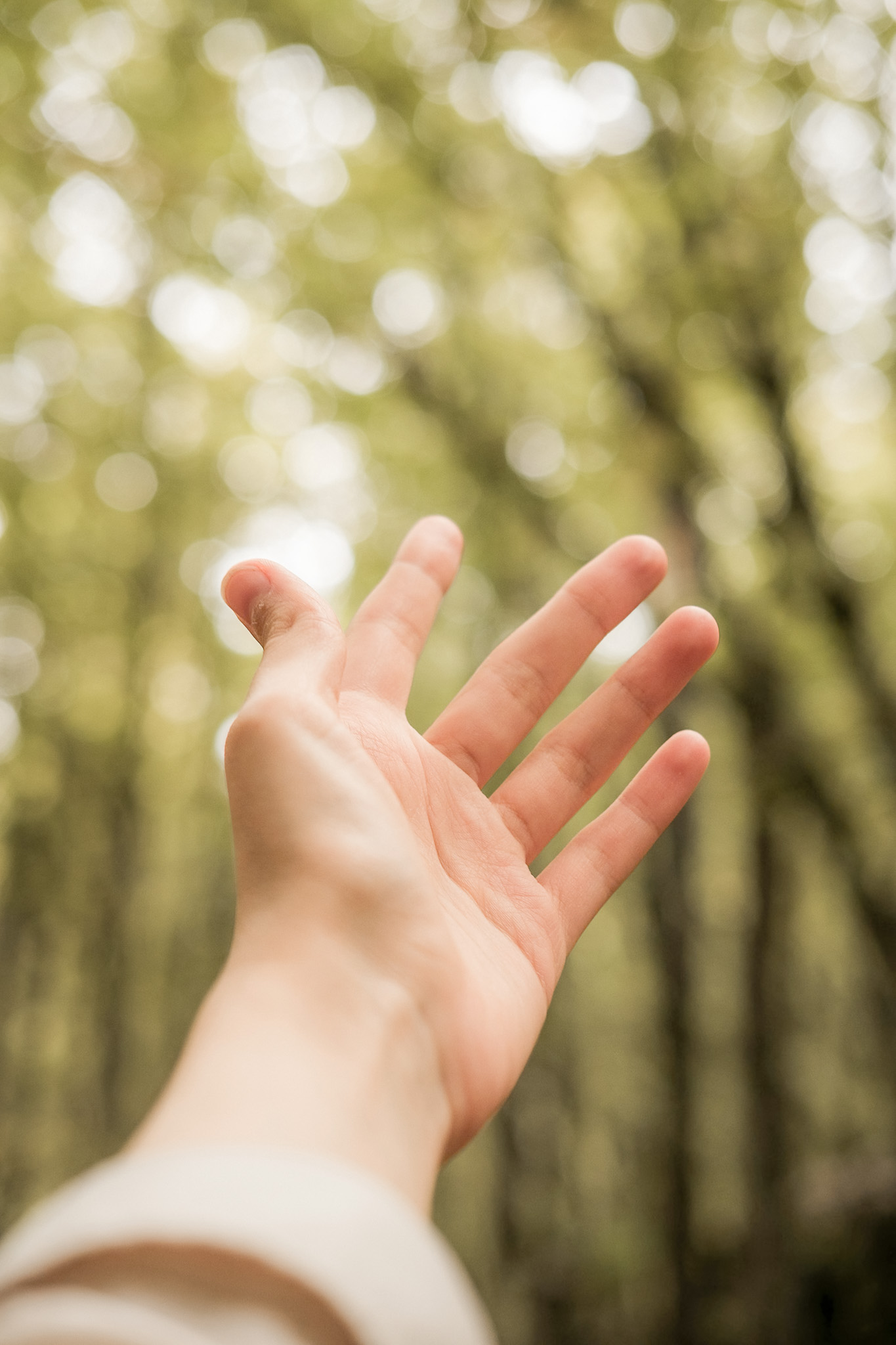 Homeopatia para constipação infantil: o que os estudos mostram, e o que costuma faltar antes dela